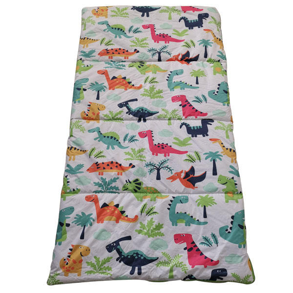 Dinosaur printing sleeping bag