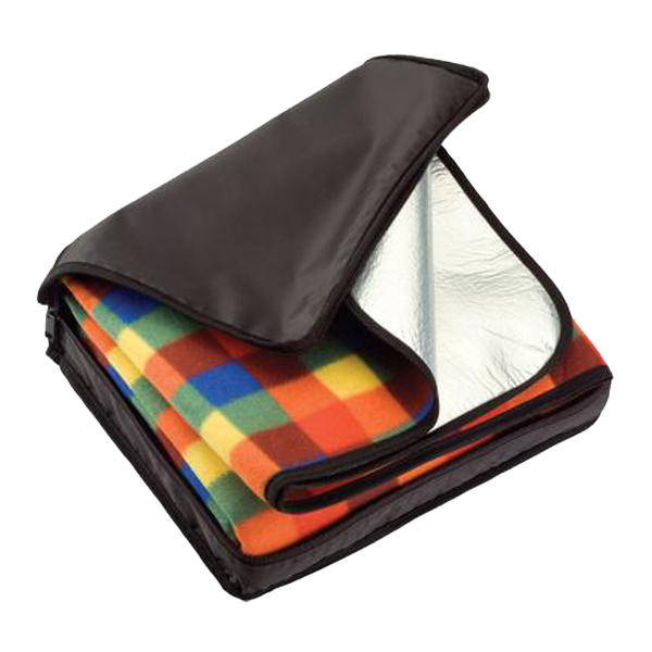 Picnic blanket with carry case